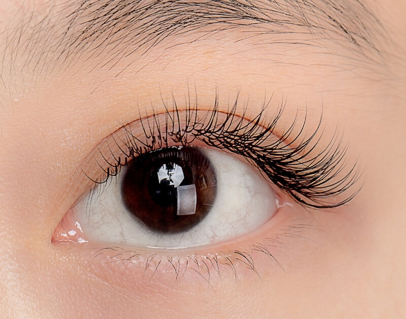 cac-kieu-noi-mi-classic các kiểu nối mi