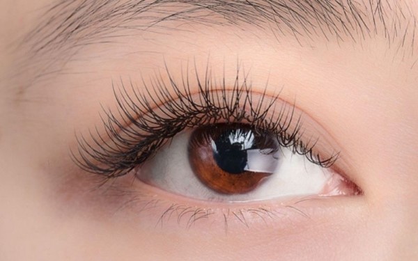 cac-kieu-noi-mi-duoi-ca các kiểu nối mi