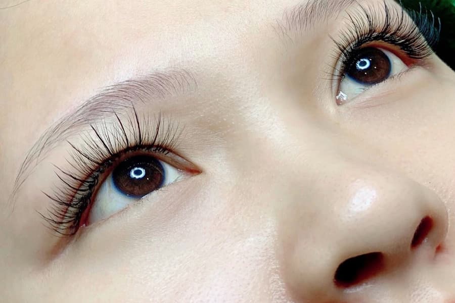 cac-kieu-noi-mi-mi-to Các kiểu nối mi