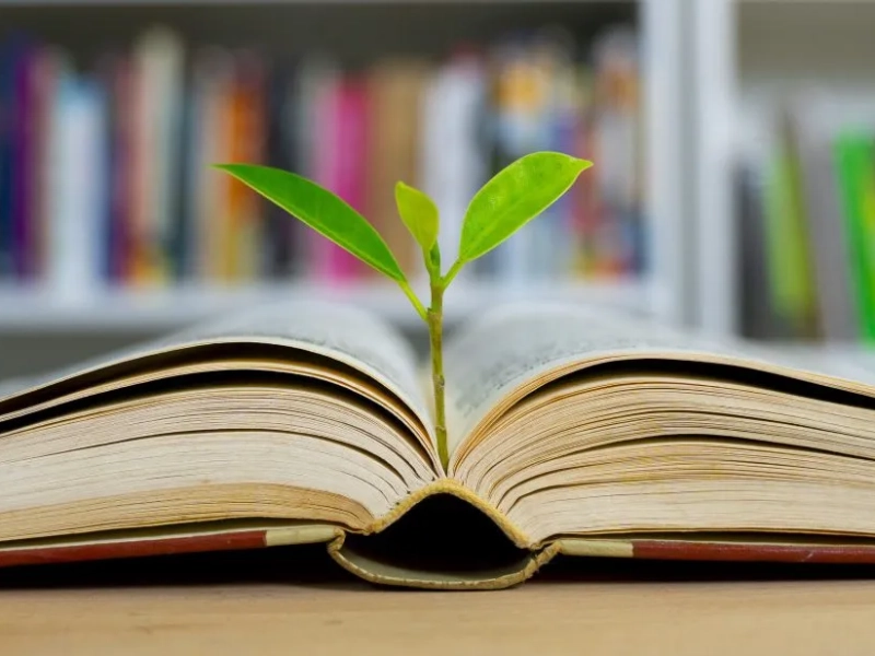 Kỹ năng nhận thức giúp ta nhận biết kiến thức hiện có