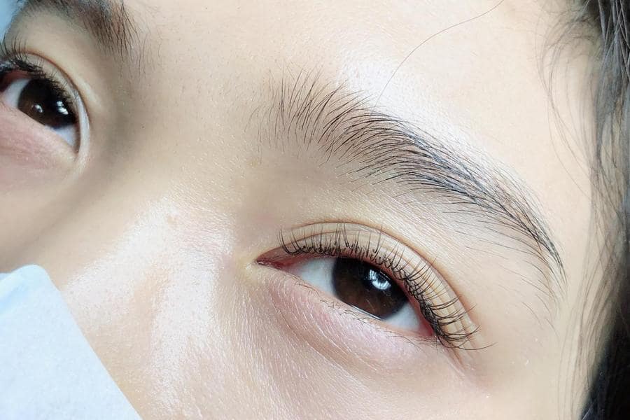 Yến Nối Mi Yến Nối Mi