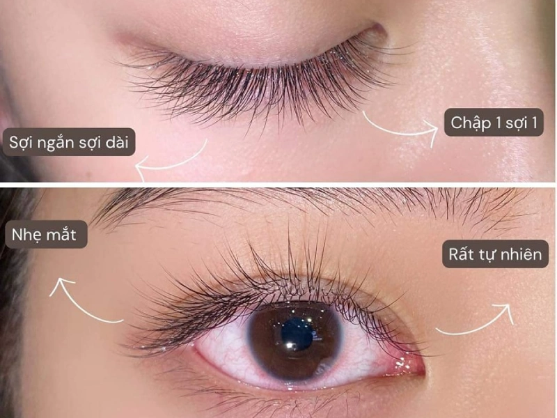 noi-mi-tphcm-11 Salon Nối Mi Mít