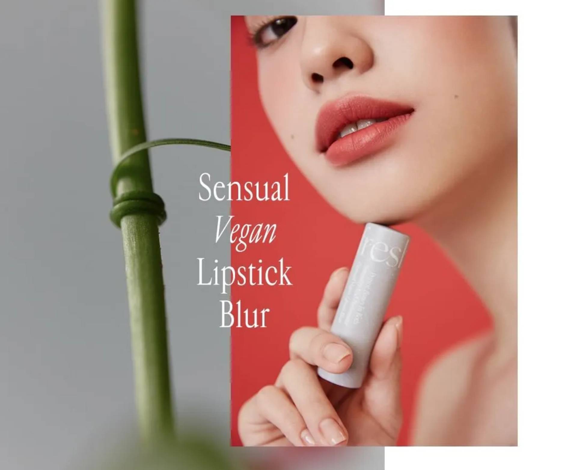 tfs/common/f0244f7d-94f1-4c0e-ac59-6ce88b50be33.webp tfs/common/f0244f7d-94f1-4c0e-ac59-6ce88b50be33.webp