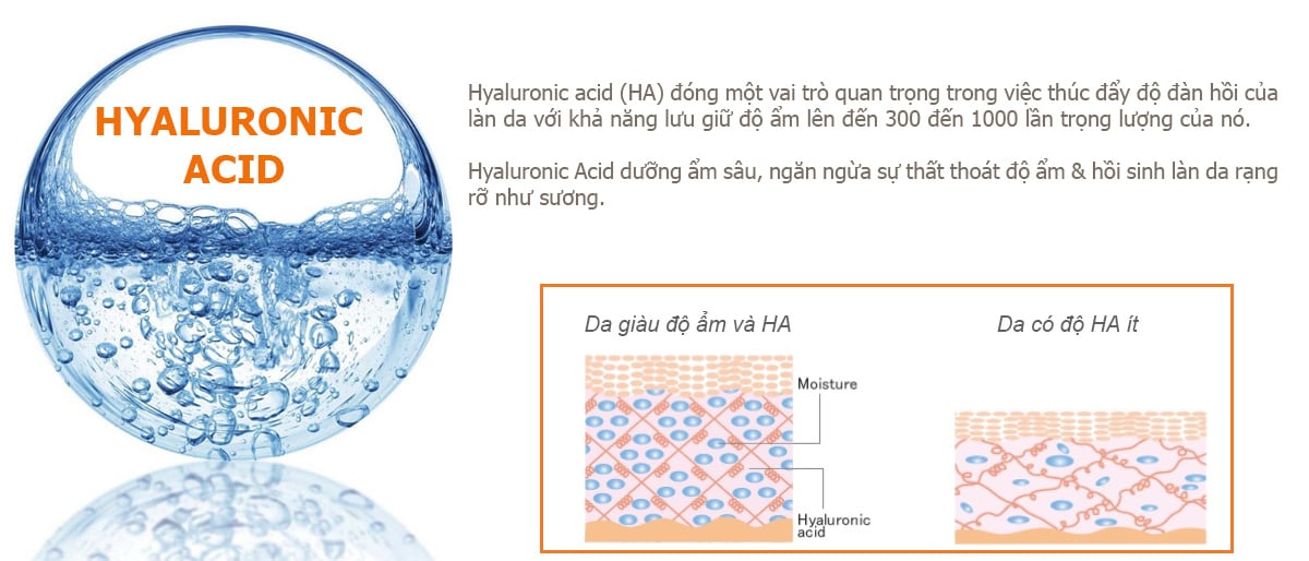 ha_71522e58d7e9438cbeba9f6c868a20f3 ha 71522e58d7e9438cbeba9f6c868a20f3