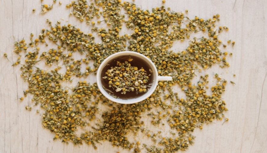 hoa_cuc_giup_phuc_hoi_da_hu_ton_ec1d744daf2d4a849d6ba5583c651530 hoa cúc giúp phục hồi da mặt bị hư tổn