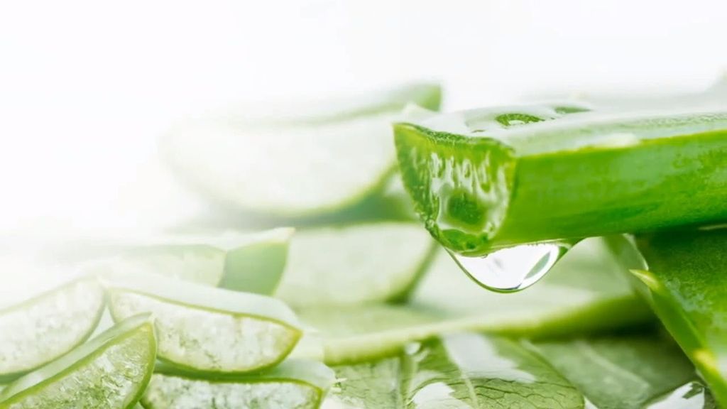 Làm gel nha đam dưỡng da tại nhà bằng máy xay