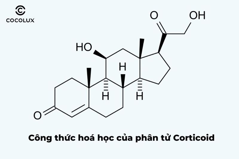 Một số loại serum có chứa thành phần Corticoid