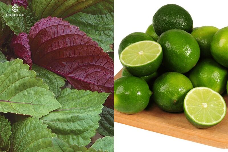 Trị nám bằng lá tía tô và chanh