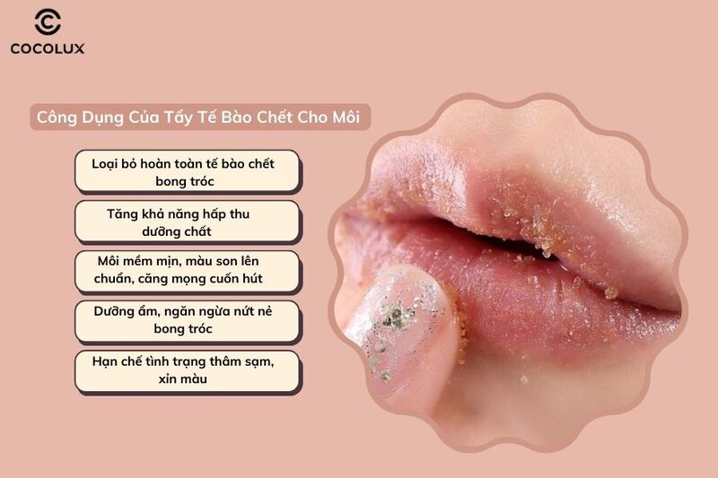 Vì sao nên tẩy tế bào chết môi đều đặn