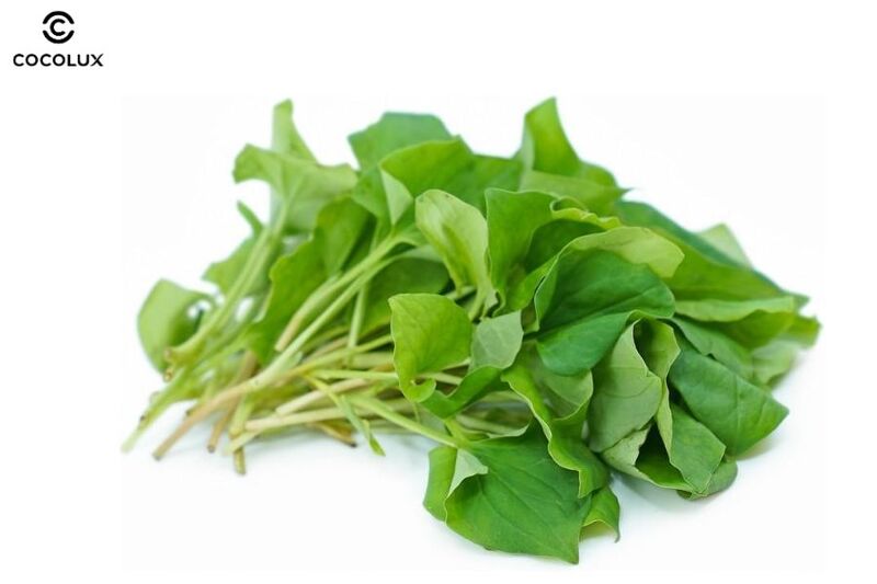 Trị mụn bằng rau diếp cá