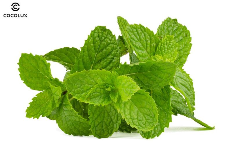 ​​​​​​​Trị mụn bằng bạc hà