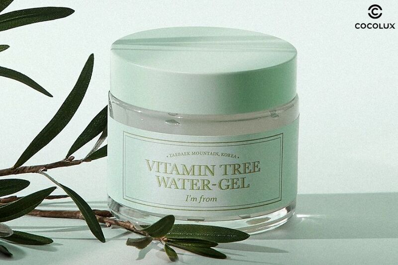 Thiết kế, bao bì kem dưỡng Vitamin Tree Water Gel đến từ nhà I’m From