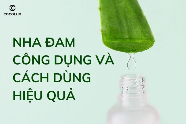 Nha đam công dụng tuyệt vời và cách dùng hiệu quả nhất