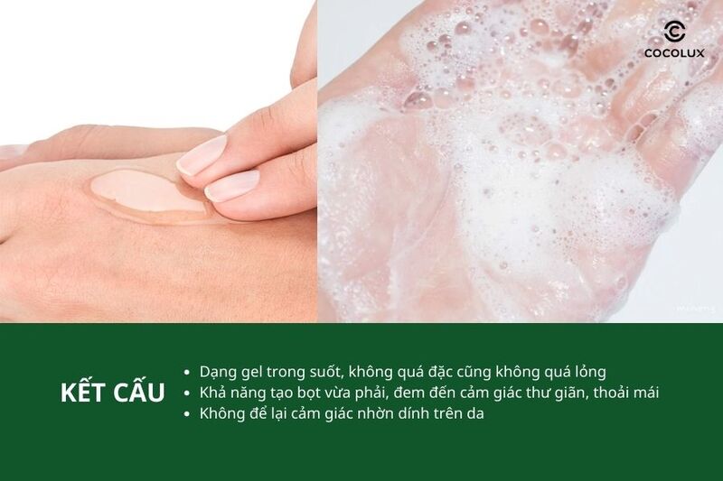 Kết cấu của gel rửa mặt Vichy Normaderm Phytosolution