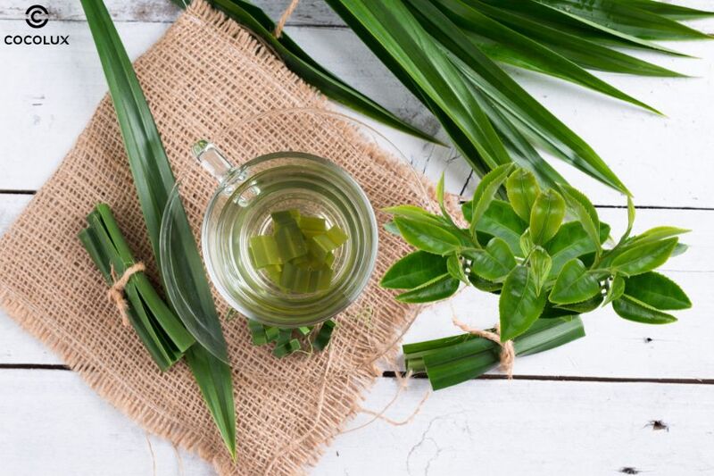 Giảm cân bằng trà xanh với lá dứa