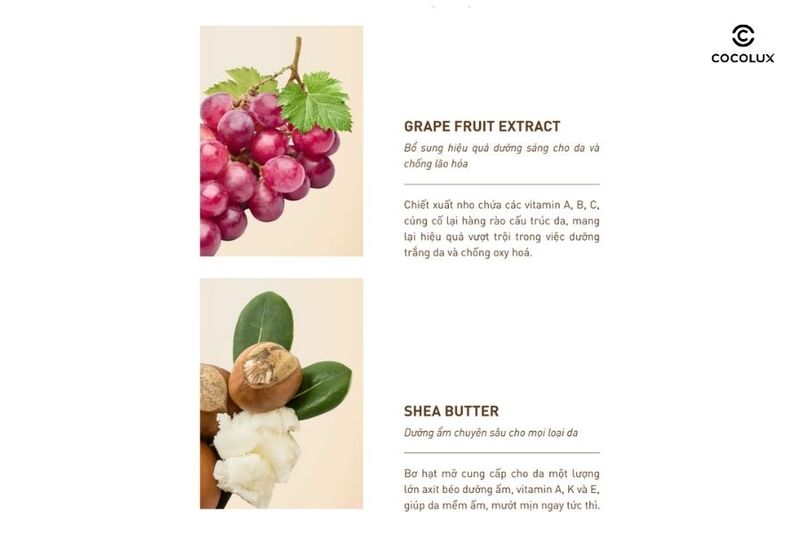 review-kem-duong-sob-tee-tree-cream-lam-sang-da-va-giam-mun-50ml-6 Thành phần của kem dưỡng S.O.B Tea Tree Cream (2)