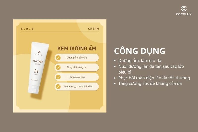 review-kem-duong-sob-tee-tree-cream-lam-sang-da-va-giam-mun-50ml-7 Công dụng của kem dưỡng S.O.B Tea Tree Cream