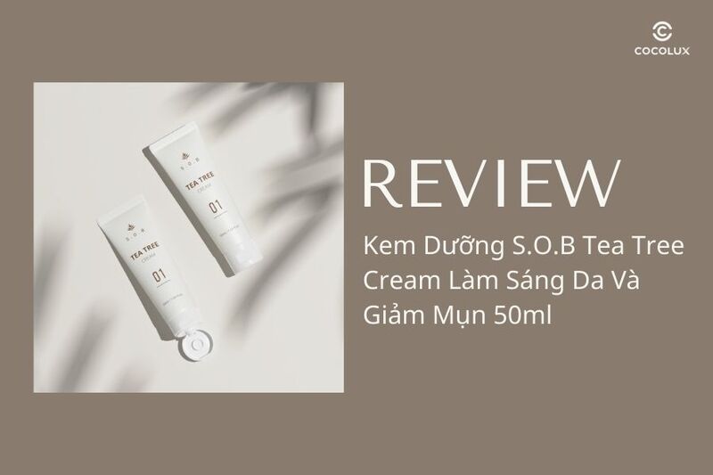 review-kem-duong-sob-tee-tree-cream-lam-sang-da-va-giam-mun-50ml Review Chi Tiết Kem Dưỡng S.O.B Tea Tree Cream Làm Sáng Da Và Giảm Mụn 50ml