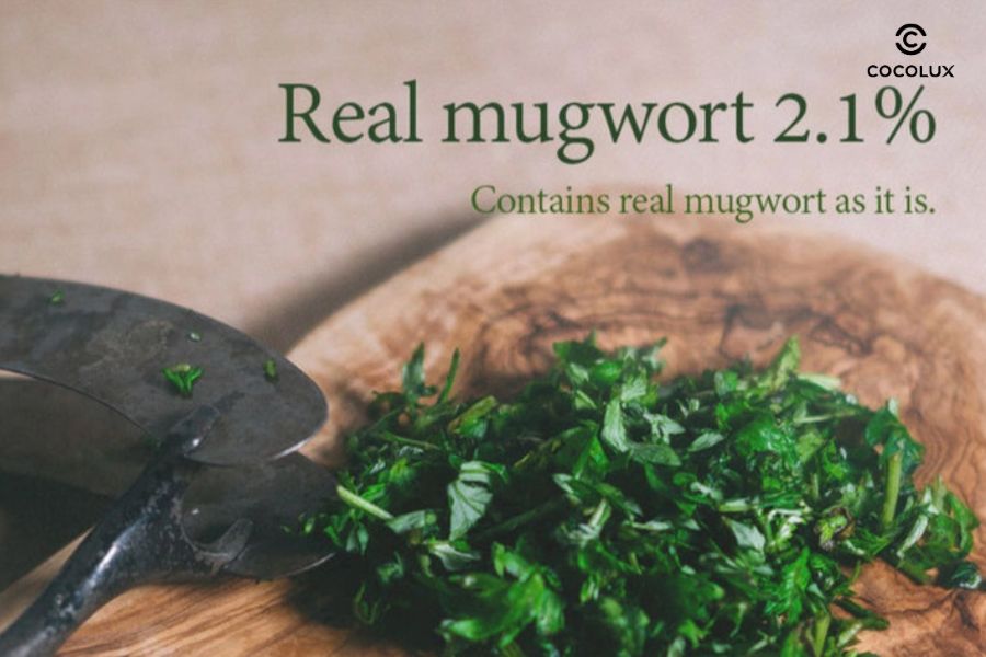 Ngải cứu là thành phần chính của Mặt Nạ I'm From Làm Dịu & Thải Độc Da Mugwort Mask