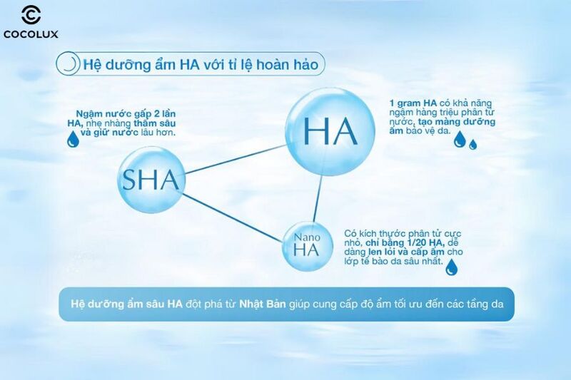 Thành phần chính của dung dịch Hada Labo dưỡng ẩm tối ưu cho da dầu