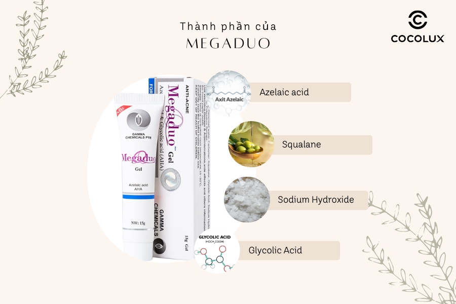 Thành phần chính của gel giảm mụn Megaduo