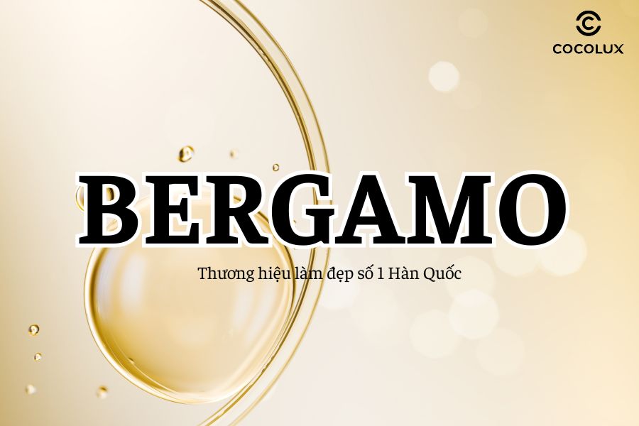 thuong-hieu-bergamo201 thuong hieu bergamo201